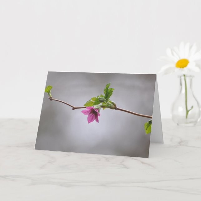 Framskjutningskort för monberry-Blommar Kort (Liten växt)