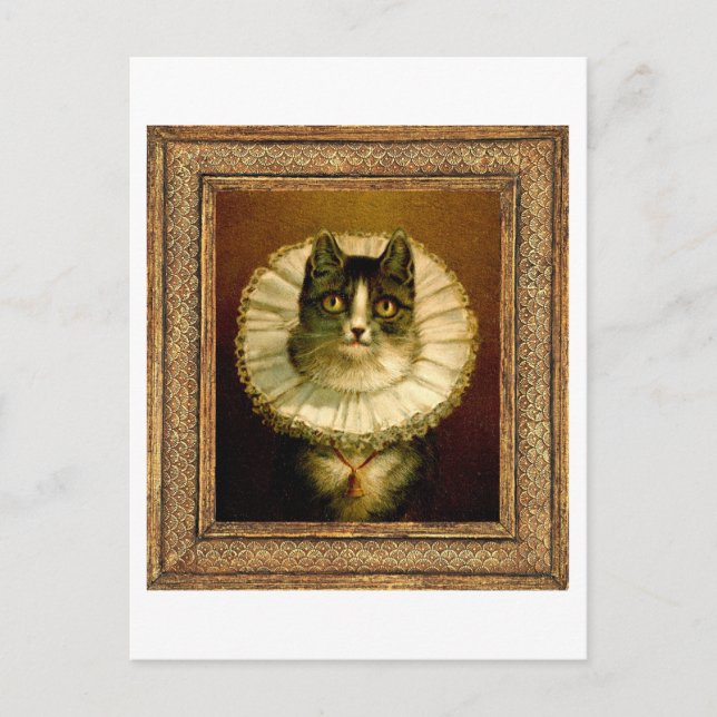 Framskriden katt i Elizabeth Collar Costume Postca Vykort (Framsida)