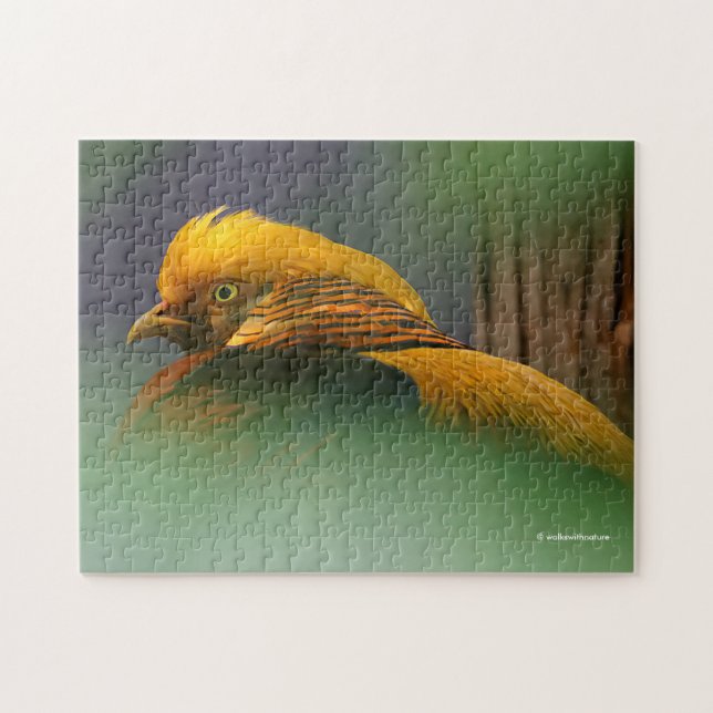 Framställning från Grönten: Golden Pheasant Pussel (Horisontell)