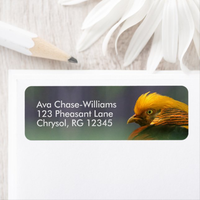 Framställning från Grönten: Golden Pheasant Returadress Etikett (Insitu)