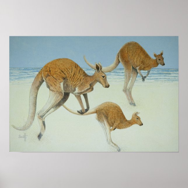 Framsteg Poster (Framsidan)