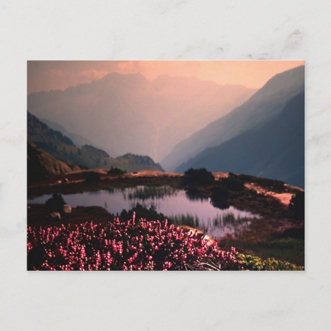 FRAMSTEG VYKORT (Framsida)