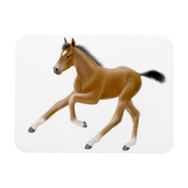 Framtida Champion Bay Foal Premium Magnet (Horisontell)