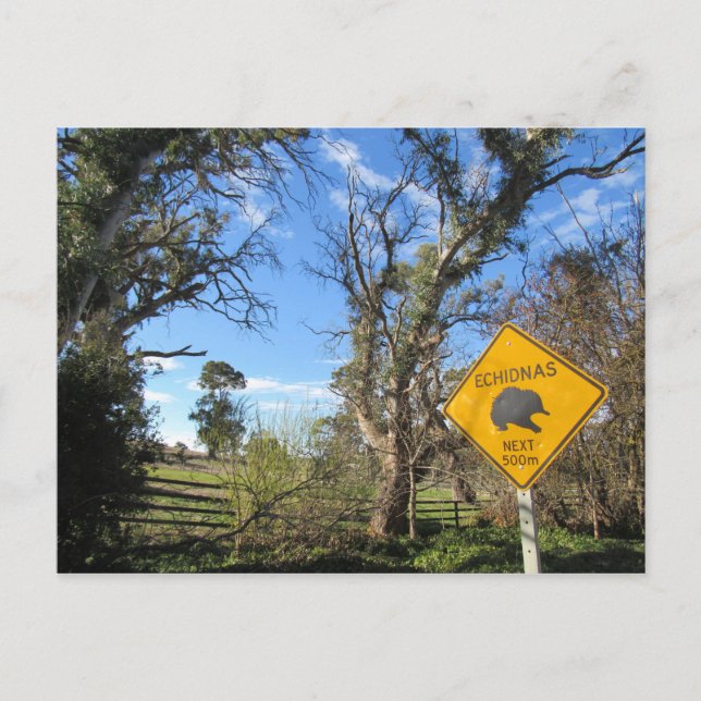 Framtida ekidner vykort (Framsida)