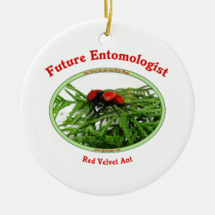 Framtida Entomologistkärlekkryp Julgransprydnad Keramik