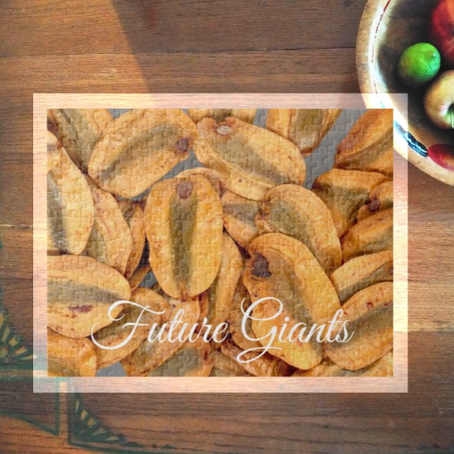 Framtida gåvor, giant Redwood Seeds Pussel (Skapare uppladdad)