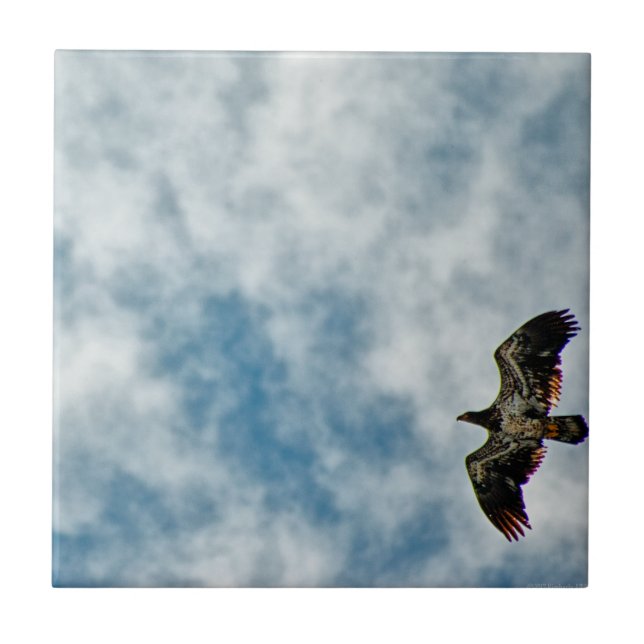 Framtida möjligheter kakelplatta (Framsidan)