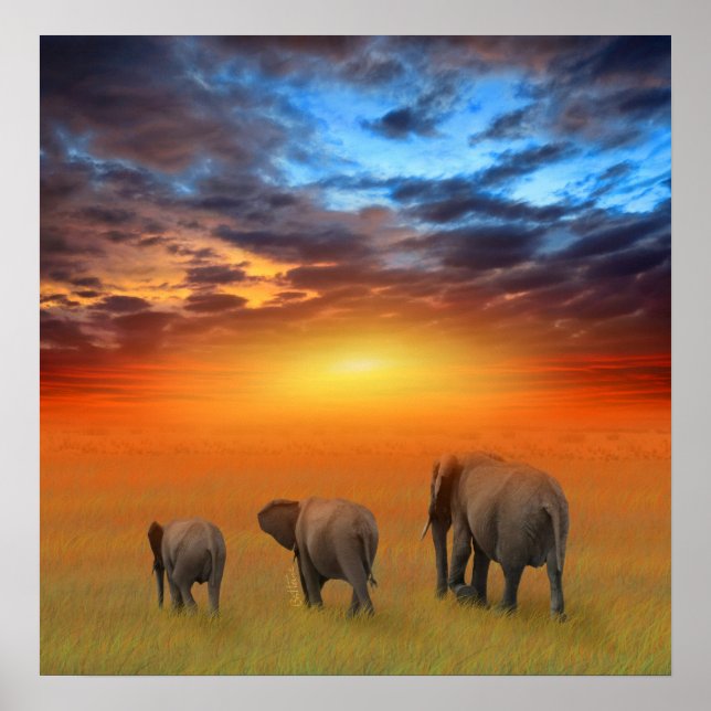 Framtiden är ljus poster (Framsidan)