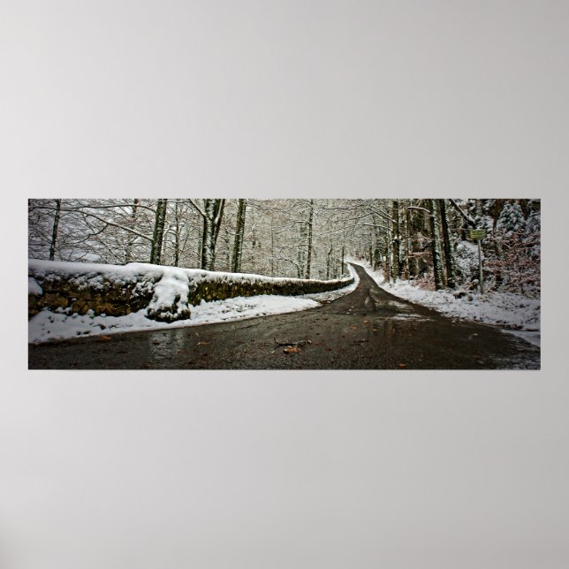 Framtidsväg - Poster 36x12 (Framsidan)