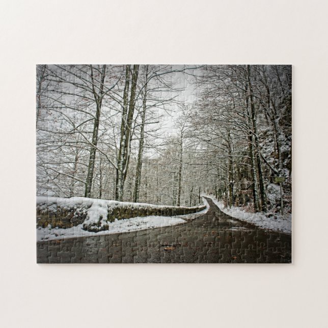 Framtidsväg - Pussel (Horisontell)