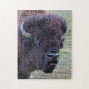 Framträdande tjurBison Pussel