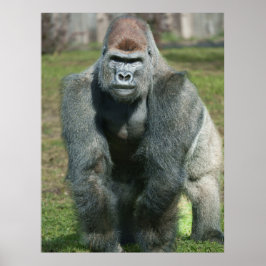 Framväxande styrka - Lita på Silverback Poster