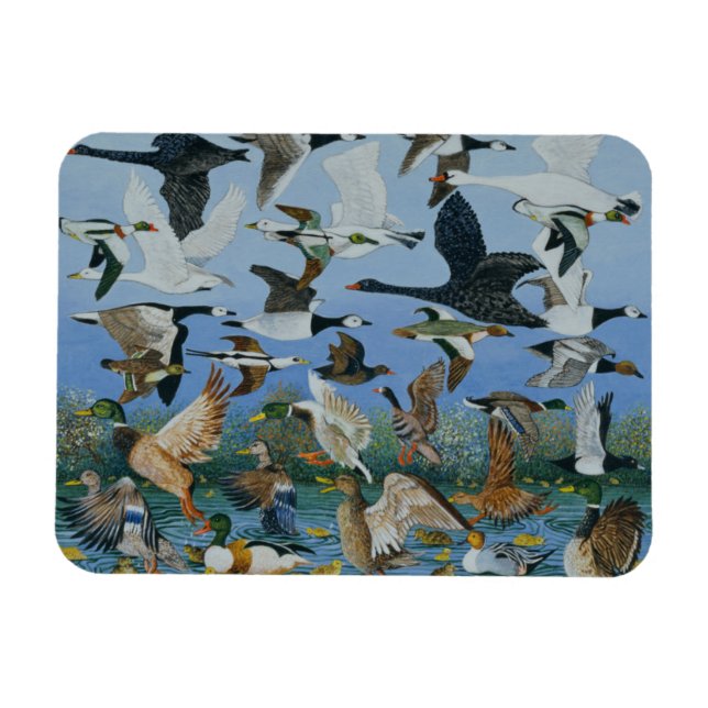 Från 1996 magnet (Horisontell)