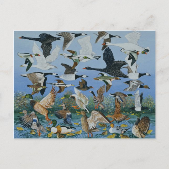 Från 1996 vykort (Framsida)