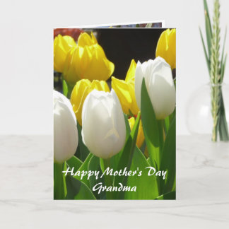 Från (1) barnbarn till farmodern kort