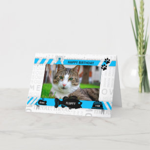 från Cat Birthday Blue Pets Photo and Namn Kort