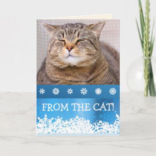 FRÅN CAT:s Anpassningsbar Meowy-jul Helgkort