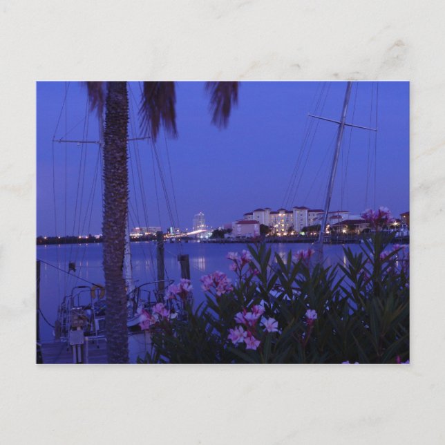 Från Cove-vykortet Vykort (Framsida)