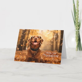 från den Hund Hund i Höst löv Helgkort