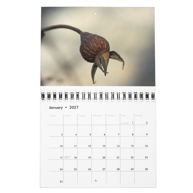 Från den överflödande jorden kalender (Jan 2027)