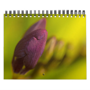 Från den överflödande jorden kalender