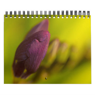 Från den överflödande jorden kalender