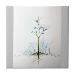 Från ett litet utsäde. . . . kakelplatta