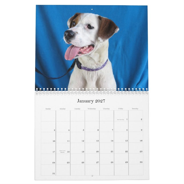 Från fara till säker händer kalender (Jan 2027)