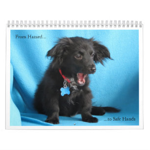 Från fara till säker händer kalender