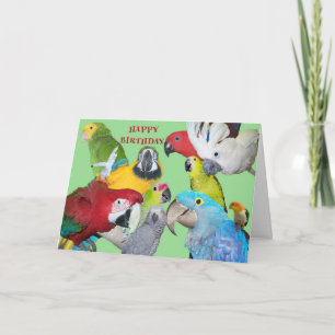 Från flockfödelsedagen kort