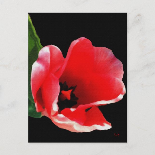 Från Garden Postcard Vykort (Framsida)