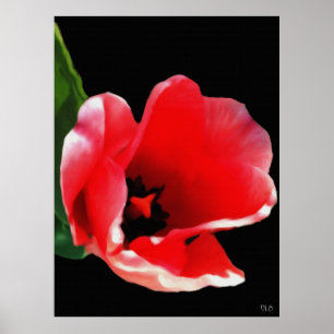 Från Garden Prints Poster