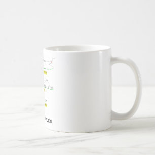 Från genen till protein kaffemugg