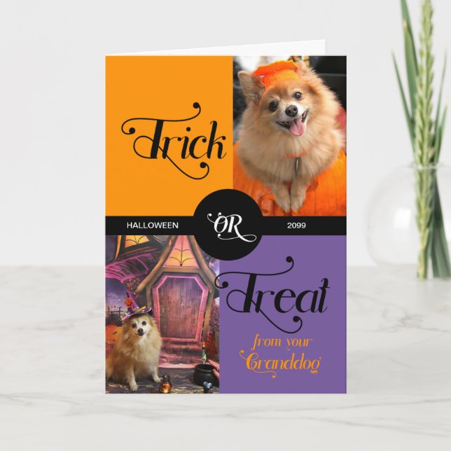 från GRANDDOG Bus eller godis Halloween Two Photos Helgkort (Framsida)