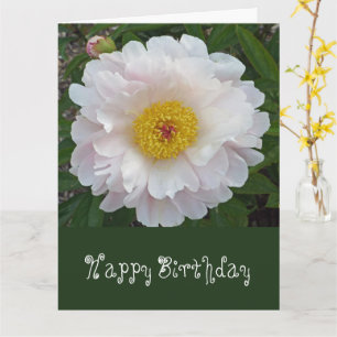Från grupp Xtra Large Birthday Card/blommigt Kort