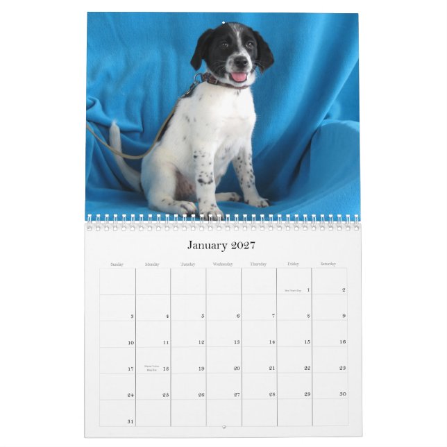 Från Harlan till säker händer Kalender (Jan 2027)