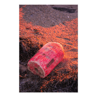 Från hemmet fototryck