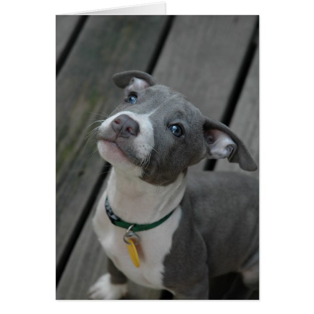 Från hjärtan hälsningskort (Framsidan)