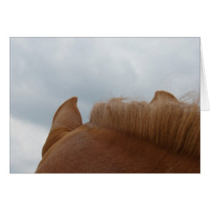 Från Horse Öron och Nacke Hälsningskort