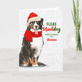 från Hund Bernese Mountain Hund jul Helgkort