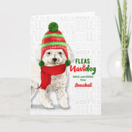 från Hund Bichon Frise i Hund Helgkort