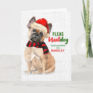 från Hund Bulldog Fleas NaviDOG Helgkort