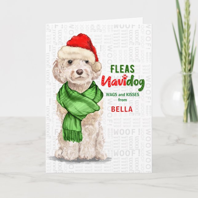 från Hund Champagne Cockapoo Fleas Navidog Hol Helgkort (Framsida)