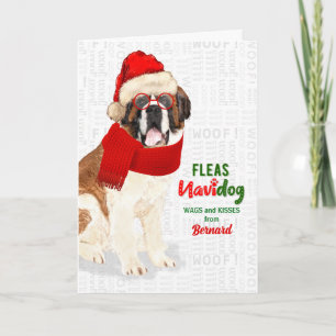 från Hund Cute Saint Bernard-julen Helgkort
