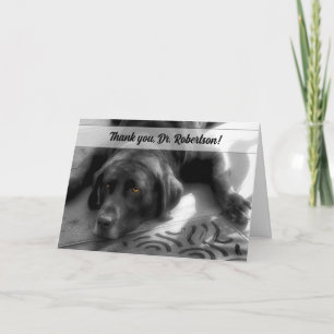 från Hund Labrador Retriever Veterinary Tack Kort