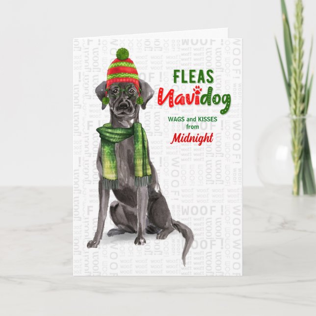 från Hund Svart lab Fleas Navidog-jul Helgkort (Framsida)