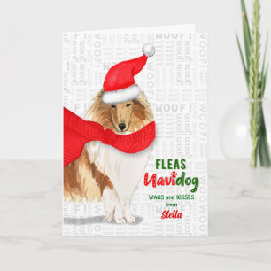 från Hund Sweet Rough Collie-julen Helgkort