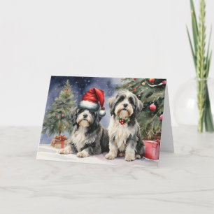 Från Hund två tibetanska Terrier i Santa Hat Kort