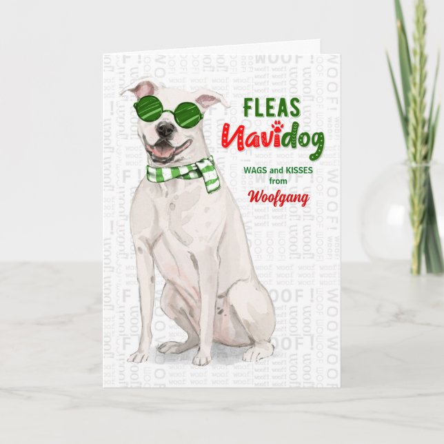 Från Hund White Pit Bull Dog Fleas Navidog Helgkort (Framsida)