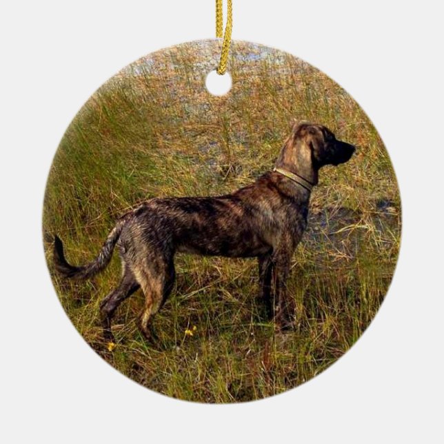Från hundskräddad julgransprydnad keramik (Framsidan)